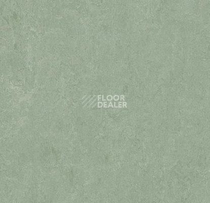 Линолеум Forbo Marmoleum Marbled Fresco 3891-389135 sage фото 1 | FLOORDEALER